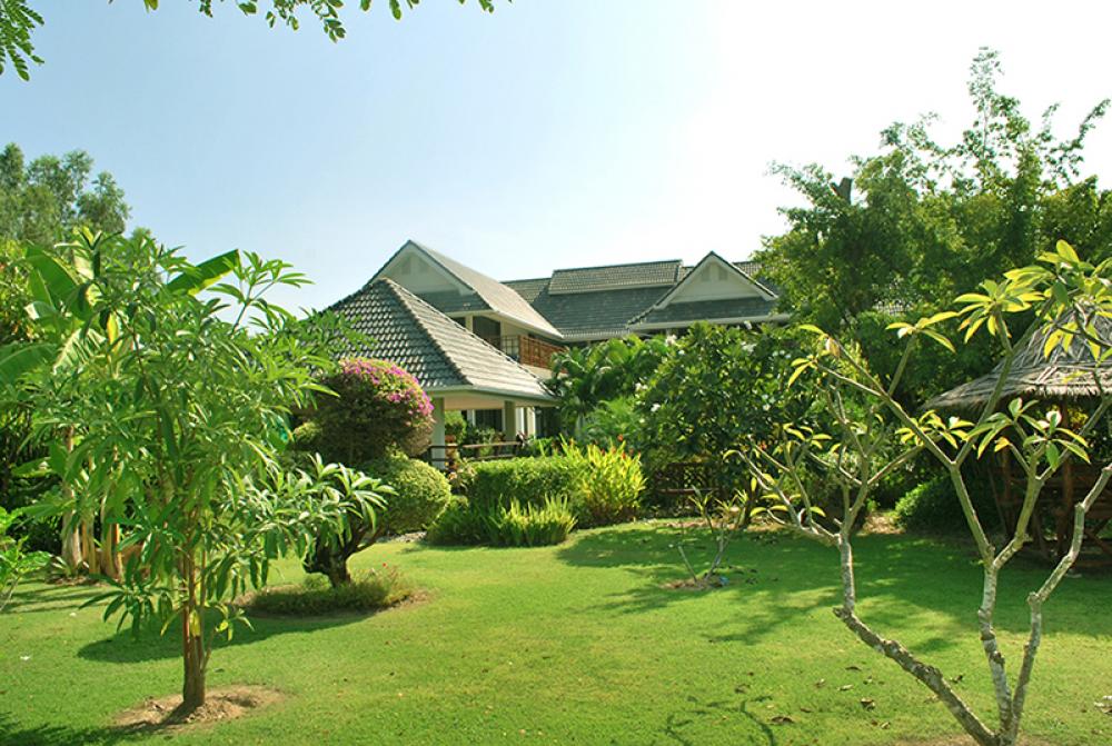 IH image9